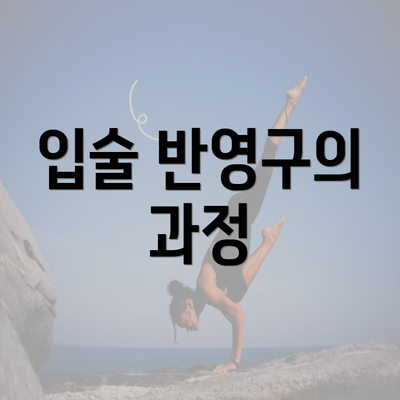 입술 반영구의 과정