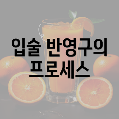 입술 반영구의 프로세스