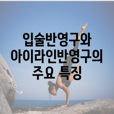 입술반영구와 아이라인반영구의 주요 특징