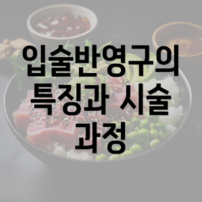 입술반영구의 특징과 시술 과정