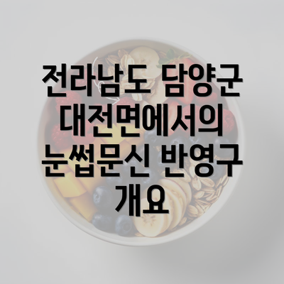 전라남도 담양군 대전면에서의 눈썹문신 반영구 개요