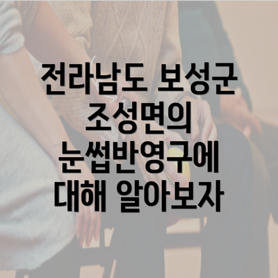 전라남도 보성군 조성면의 눈썹반영구에 대해 알아보자