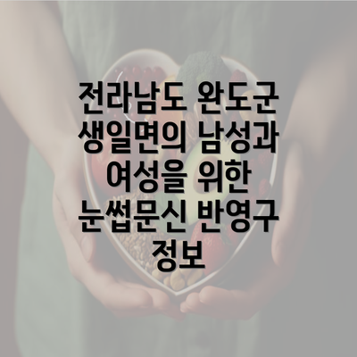 전라남도 완도군 생일면의 남성과 여성을 위한 눈썹문신 반영구 정보