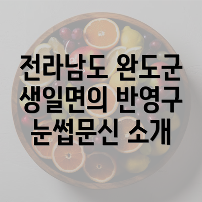 전라남도 완도군 생일면의 반영구 눈썹문신 소개