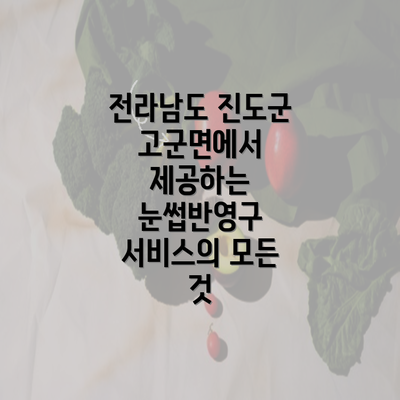 전라남도 진도군 고군면에서 제공하는 눈썹반영구 서비스의 모든 것