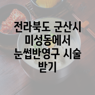 전라북도 군산시 미성동에서 눈썹반영구 시술 받기