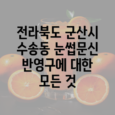 전라북도 군산시 수송동 눈썹문신 반영구에 대한 모든 것