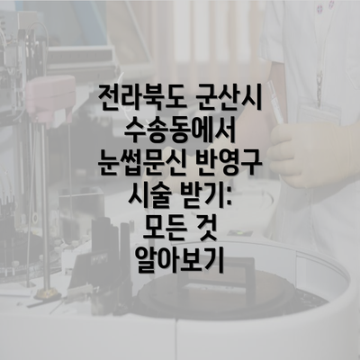 전라북도 군산시 수송동에서 눈썹문신 반영구 시술 받기: 모든 것 알아보기