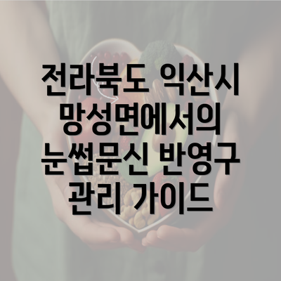 전라북도 익산시 망성면에서의 눈썹문신 반영구 관리 가이드