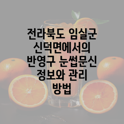 전라북도 임실군 신덕면에서의 반영구 눈썹문신 소개