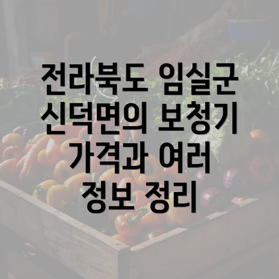 전라북도 임실군 신덕면의 보청기 가격과 여러 정보 정리