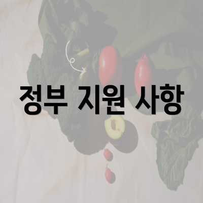 정부 지원 사항