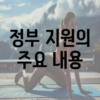 정부 지원의 주요 내용