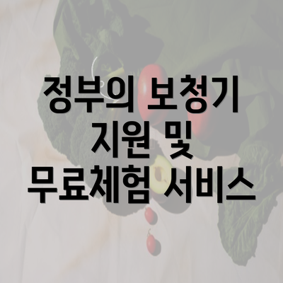 정부의 보청기 지원 및 무료체험 서비스