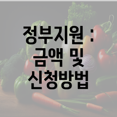 정부지원 : 금액 및 신청방법