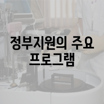 정부지원의 주요 프로그램