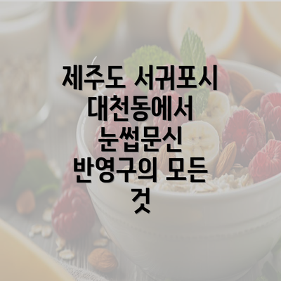 제주도 서귀포시 대천동에서 눈썹문신 반영구의 모든 것