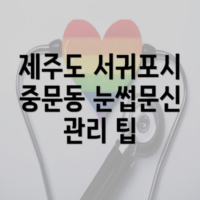 제주도 서귀포시 중문동 눈썹문신 관리 팁