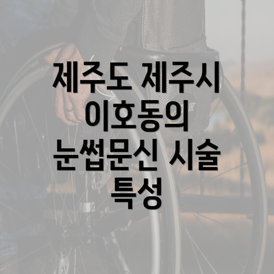 제주도 제주시 이호동의 눈썹문신 시술 특성