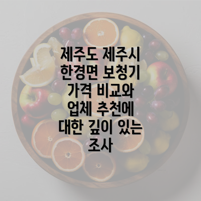 제주도 제주시 한경면 보청기 가격 비교와 업체 추천에 대한 깊이 있는 조사