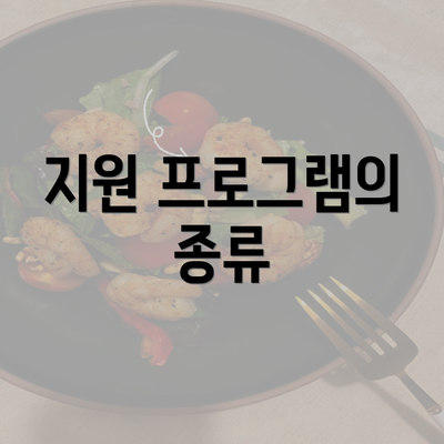 지원 프로그램의 종류