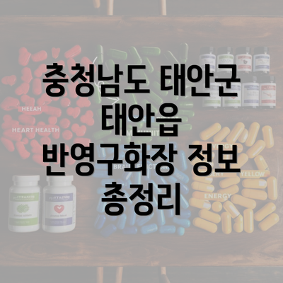 충청남도 태안군 태안읍 반영구화장 정보 총정리