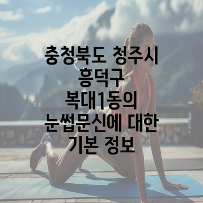 충청북도 청주시 흥덕구 복대1동의 눈썹문신에 대한 기본 정보