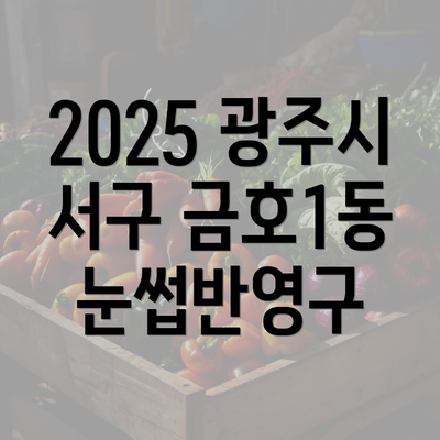 2025 광주시 서구 금호1동 눈썹반영구