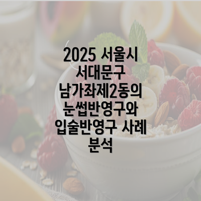 2025 서울시 서대문구 남가좌제2동의 눈썹반영구와 입술반영구 사례 분석