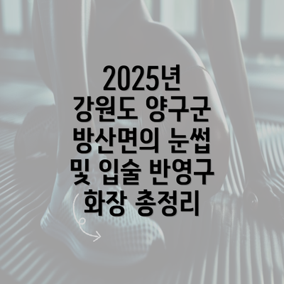 2025년 강원도 양구군 방산면의 눈썹 및 입술 반영구 화장 총정리