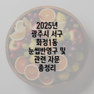 2025년 광주시 서구 화정1동 눈썹반영구 및 관련 자문 총정리