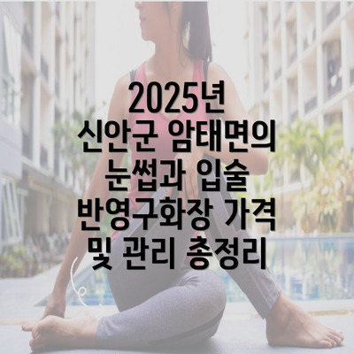 2025년 신안군 암태면의 눈썹과 입술 반영구화장 가격 및 관리 총정리