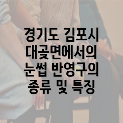 경기도 김포시 대곶면에서의 눈썹 반영구의 종류 및 특징