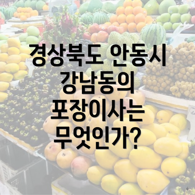 경상북도 안동시 강남동의 포장이사는 무엇인가?