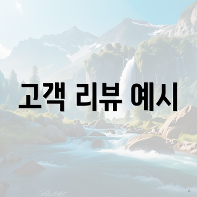 고객 리뷰 예시