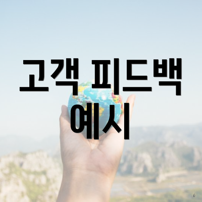 고객 피드백 예시