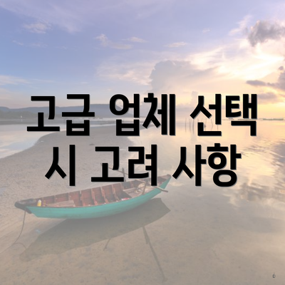 고급 업체 선택 시 고려 사항