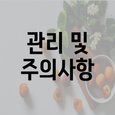 관리 및 주의사항