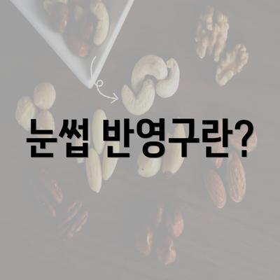 눈썹 반영구란?