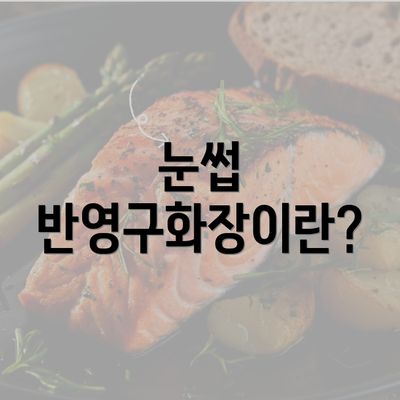 눈썹 반영구화장이란?