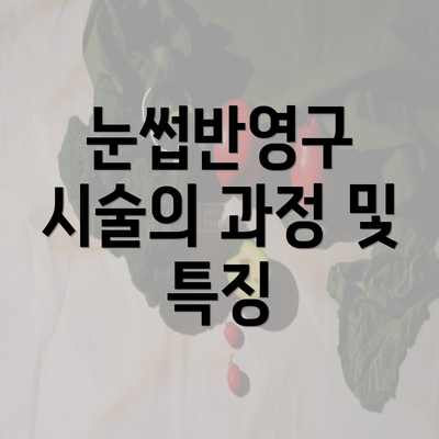 눈썹반영구 시술의 과정 및 특징