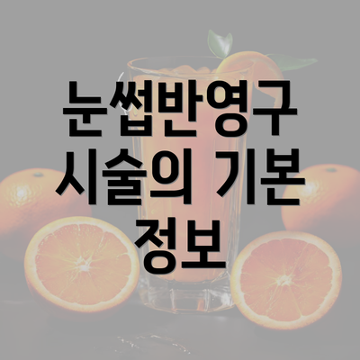 눈썹반영구 시술의 기본 정보