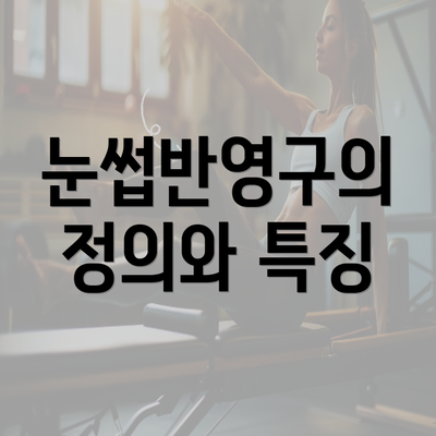 눈썹반영구의 정의와 특징