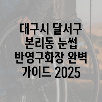 대구시 달서구 본리동 눈썹 반영구화장 완벽 가이드 2025