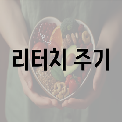 리터치 주기