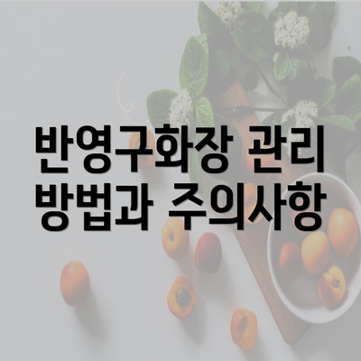 반영구화장 관리 방법과 주의사항