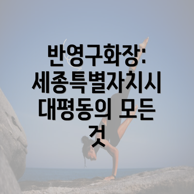 반영구화장: 세종특별자치시 대평동의 모든 것