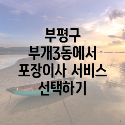 부평구 부개3동에서 포장이사 서비스 선택하기