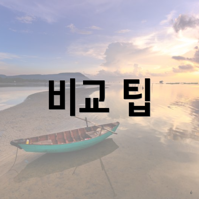 비교 팁