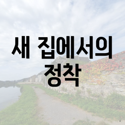 새 집에서의 정착